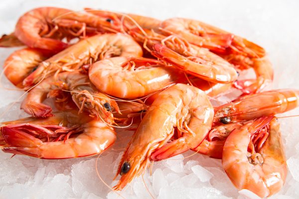 Wholesale Frozen Prawns