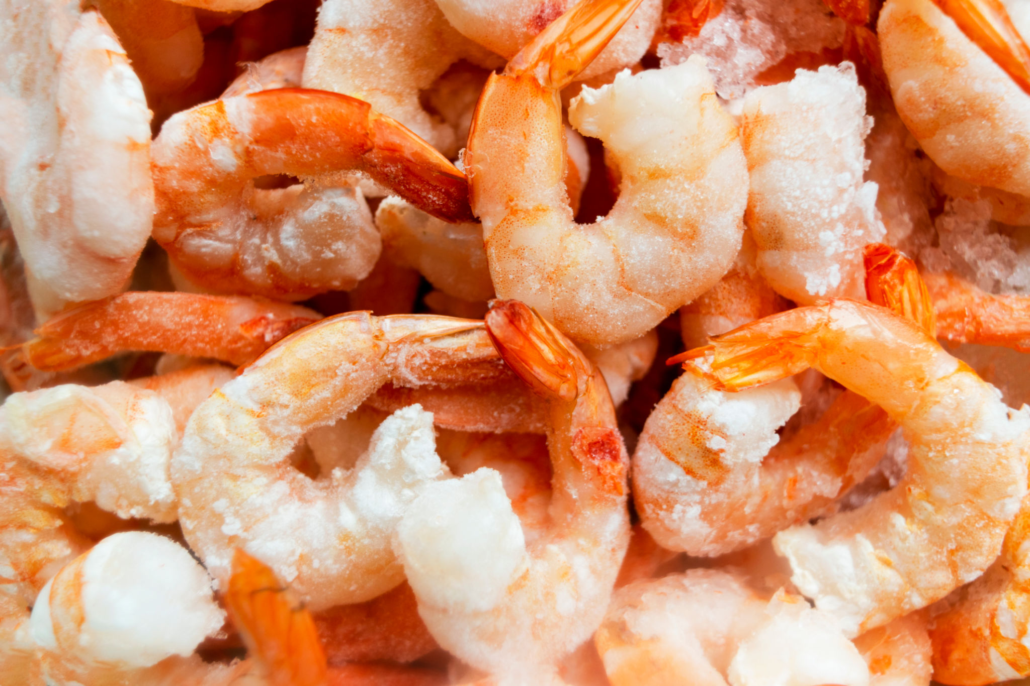 Frozen Prawns: Important Facts You Need to Know