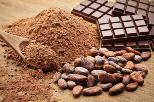 Where Do Cocoa Beans Come From?